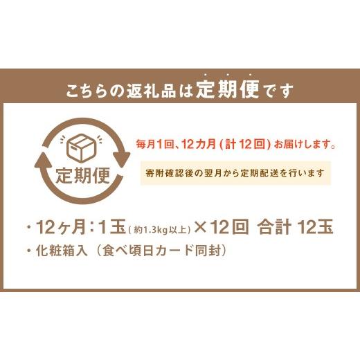 ふるさと納税 メロン メロン青肉 静岡県 菊川市  12ヶ月定期便 静岡県産高級 アローマメロン 白等級 約1.3kg以上×中玉1玉 （合計12玉） ／ 12回定期便 メロン…_2