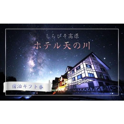 ふるさと納税 宿泊券 旅館・民宿 長野県 飯田市 しらびそ高原 ホテル 天の川 宿泊 ギフト 券 3,000円分 | 旅行 宿泊 観光 星空 聖地 ギフト 贈り物 ホテル 長…