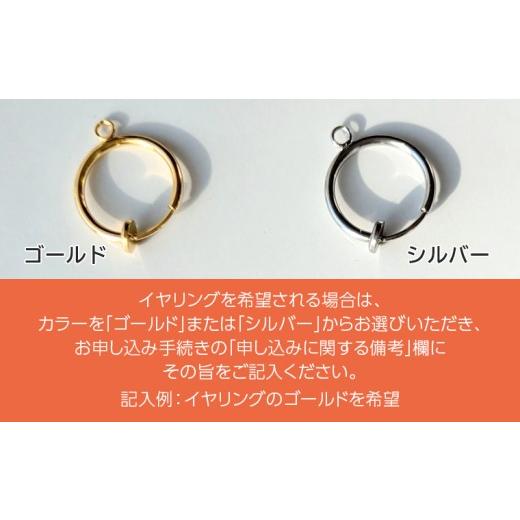 ふるさと納税 アクセサリー ピアス 千葉県 富津市 幸せを呼ぶ貝