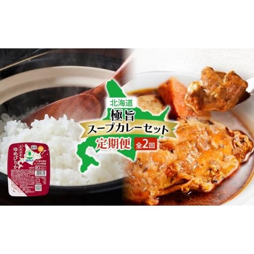 ふるさと納税 鶏肉 カレー・シチュー 北海道 倶知安町 北海道 極旨 スープカレー セット 全2回 チキンレッグスープカレー スープカレー チキンカレー レトル…