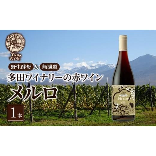 ふるさと納税 ワイン 赤ワイン 北海道 上富良野町 野生酵母&無濾過 多田ワイナリーの赤ワイン メルロ 1本 ワイン ミディアムボディお酒 アルコール 晩酌 家…