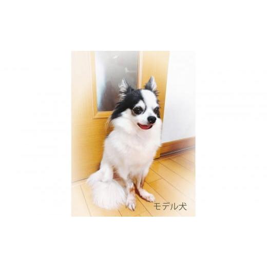 ふるさと納税 人形 東京都 中野区 思い出のペット写真から作る3Dフィギュア 長辺13cm | フィギュア ペット 写真 オーダーメイド 愛犬 ねこ グッズ 記念 送料…の画像
