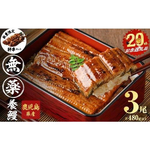 ふるさと納税 うなぎ 鹿児島県 志布志市 3月末までに配送 無薬養鰻 鹿児島産 山田のうなぎ 計480g以上 (160g以上×3尾) 肝串セット うなぎ 鰻 ウナギ 無薬 …