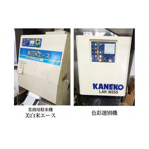 ふるさと納税 米 宮城県 仙台市  定期便 宮城県産 だて正夢 令和7年度産 精米 5kgX3回 仙台市 だて正夢 定期便 精米 高品質 美味しい ご飯 和食 健康 安心 安…の画像