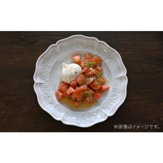 ふるさと納税 食器・グラス 皿 長崎県 波佐見町  波佐見焼 ombre de fleur ブーケプレート palette pink 翔芳窯 FE521の画像