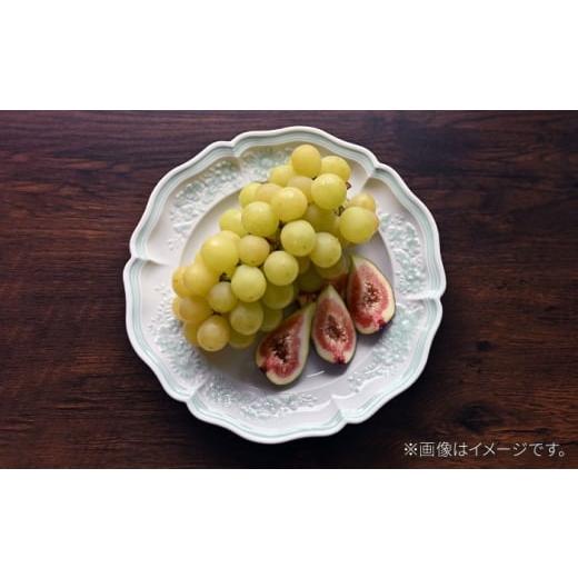 ふるさと納税 食器・グラス 皿 長崎県 波佐見町  波佐見焼 ombre de fleur ブーケプレート palette green 翔芳窯 FE524の画像