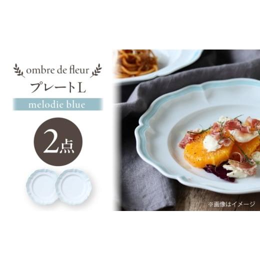 ふるさと納税 食器・グラス セット 長崎県 波佐見町 波佐見焼 ombre de fleur プレートL melodie blue 2枚セット 翔芳窯