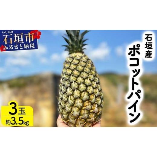 ふるさと納税 果物類 沖縄県 石垣市 先行予約 農家直送 石垣島産 ポコットパイン 3個セット 約3.5kg 2026年3月下旬発送 | パイナップル パイン 沖縄県 石垣市…