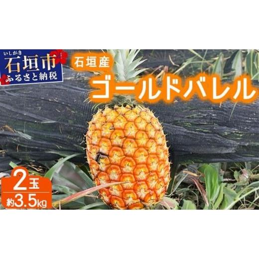 ふるさと納税 果物類 沖縄県 石垣市 先行予約 農家直送 石垣島産 ゴールドバレル 2個セット 約3.5kg 2026年4月中旬発送 | パイナップル パイン 沖縄県 石垣市…