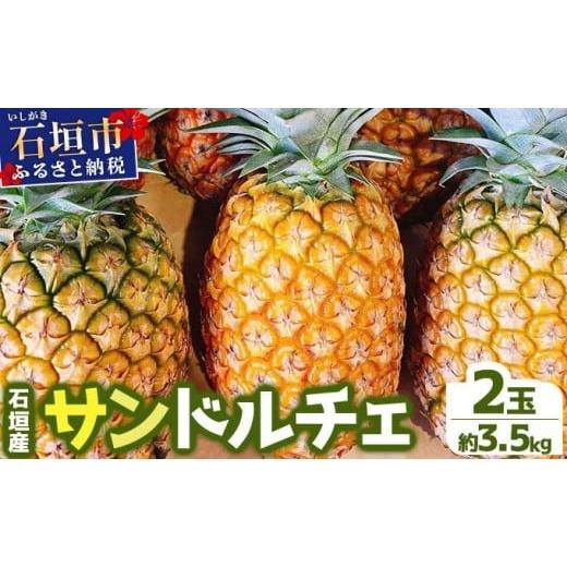 ふるさと納税 果物類 沖縄県 石垣市 先行予約 農家直送 石垣島産サンドルチェ 2個セット 約3.5kg 2026年4月中旬発送 | パイナップル パイン 沖縄県 石垣市 石…