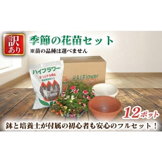 ふるさと納税 雑貨・日用品 花 埼玉県 羽生市 訳あり 品種お任せ 季節のお花 12ポット 栽培セット同梱(鉢+培養土) 寄せ植え 花 ガーデニング 園芸 花苗 お花 …