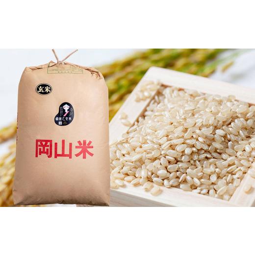 ふるさと納税 玄米 岡山県 美咲町 備前乙女米 玄米 30kg×1袋 2026年10月下旬〜2027年9月下旬迄発送予定 ／ お米 米 おこめ こめ コメ ご飯 ライス モチモチ …_1