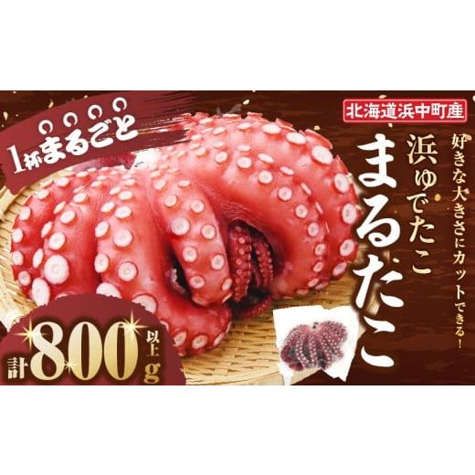 ふるさと納税 タコ 北海道 浜中町 令和8年2月発送分 浜ゆでたこ「まるたこ」たこ 一匹 一杯 刺身 海産物 魚介類 海鮮 北海道 _H0023-061-R802 令和8年2月配送