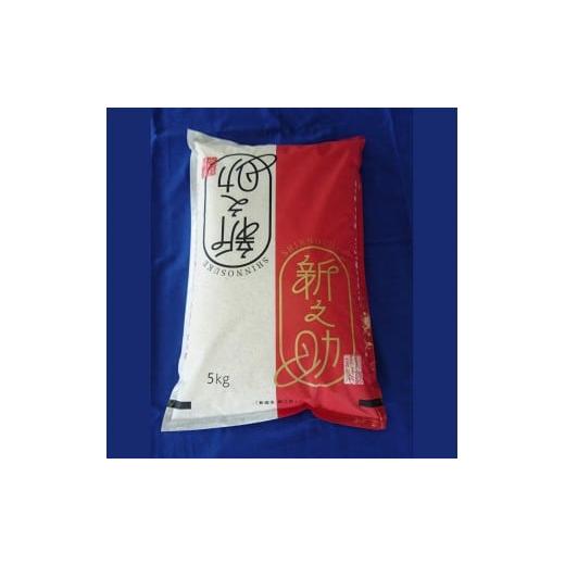 ふるさと納税 米 新潟県 村上市 令和7年産米 新潟県村上市 新之助5kg 1033005