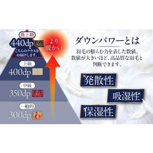 ふるさと納税 タオル・寝具 掛け布団 福岡県 糸島市  お中元対象 赤系 糸島羽毛ふとん シングル 羽毛 布団 本掛け 2層式 ポーランド産 グースダウン95％ 糸島…_5