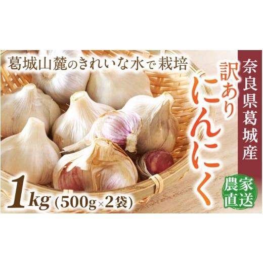ふるさと納税 野菜類 薬味 奈良県 葛城市 奈良県葛城産 訳あり にんにく 約1kg(500g×2袋) 入金確認後1か月以内に発送 / スマイル葛城農業 若手農家 新規就…