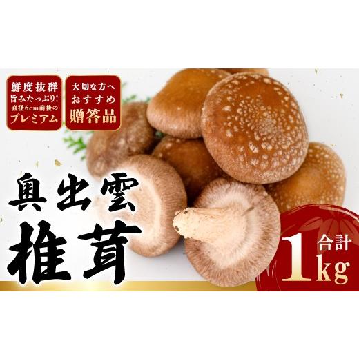 ふるさと納税 野菜類 きのこ 島根県 奥出雲町 「奥出雲椎茸」プレミアム贈答品 椎茸 生しいたけ 1kg 収穫直後 サイズ混合 新鮮 旨味たっぷり 菌床栽培 国産 き…_1