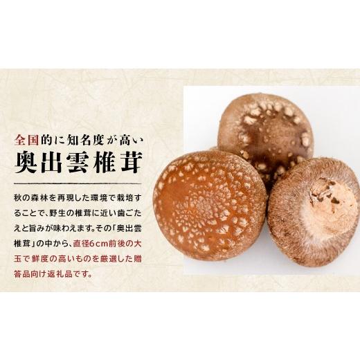 ふるさと納税 野菜類 きのこ 島根県 奥出雲町 「奥出雲椎茸」プレミアム贈答品 椎茸 生しいたけ 1kg 収穫直後 サイズ混合 新鮮 旨味たっぷり 菌床栽培 国産 き…_2