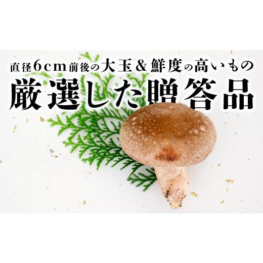 ふるさと納税 野菜類 きのこ 島根県 奥出雲町 「奥出雲椎茸」プレミアム贈答品 椎茸 生しいたけ 1kg 収穫直後 サイズ混合 新鮮 旨味たっぷり 菌床栽培 国産 き…_3