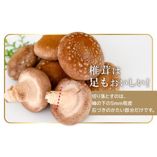 ふるさと納税 野菜類 きのこ 島根県 奥出雲町 「奥出雲椎茸」プレミアム贈答品 椎茸 生しいたけ 1kg 収穫直後 サイズ混合 新鮮 旨味たっぷり 菌床栽培 国産 き…_4