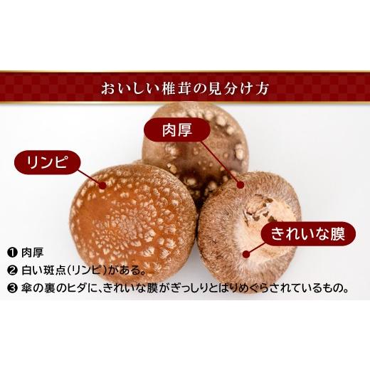 ふるさと納税 野菜類 きのこ 島根県 奥出雲町 「奥出雲椎茸」プレミアム贈答品 椎茸 生しいたけ 1kg 収穫直後 サイズ混合 新鮮 旨味たっぷり 菌床栽培 国産 き…_5