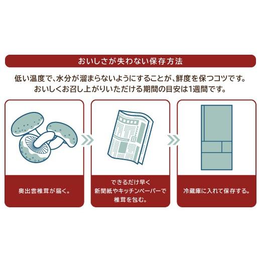 ふるさと納税 野菜類 きのこ 島根県 奥出雲町 「奥出雲椎茸」プレミアム贈答品 椎茸 生しいたけ 1kg 収穫直後 サイズ混合 新鮮 旨味たっぷり 菌床栽培 国産 き…_7