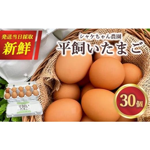 ふるさと納税 卵(鶏、烏骨鶏等) 神奈川県 相模原市 シャケちゃん農園の平飼い卵 30個 | ボリスブラウン 新鮮 平飼い ケージフリー 鶏卵 玉子 たまご 生卵 …
