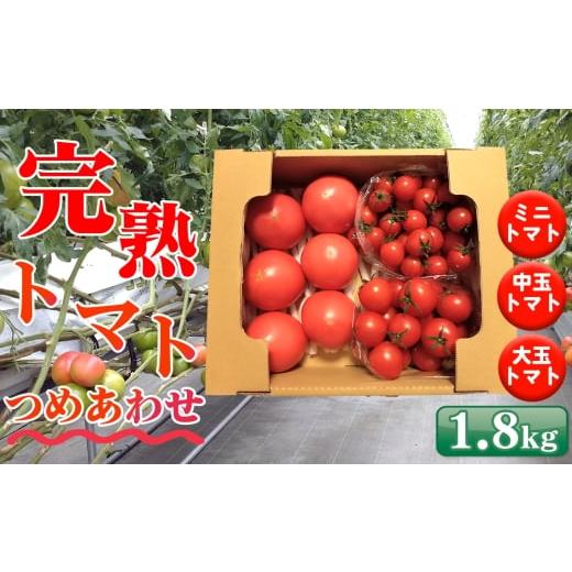 ふるさと納税 トマト 埼玉県 行田市 トマト いろいろ詰合せセット 1.8kg入り箱 / とまと 野菜 新鮮 完熟 ミニ 中玉 大玉 3種類 詰め合わせ セット 食べ比べ …