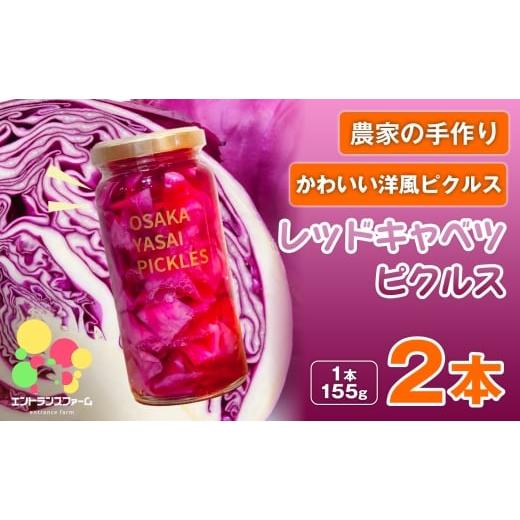 ふるさと納税 加工品等 漬物 大阪府 箕面市 農家の手作り おかずピクルス レッドキャベツピクルス(2本) m104-04-A エントランスファーム 2本
