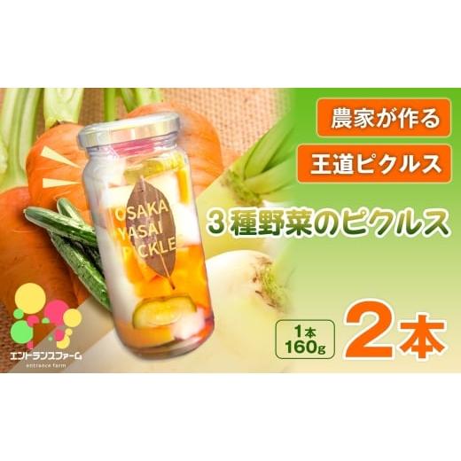 ふるさと納税 加工品等 漬物 大阪府 箕面市 農家が作る 王道ピクルス 3種野菜のピクルス(2本) m104-05-A エントランスファーム 2本