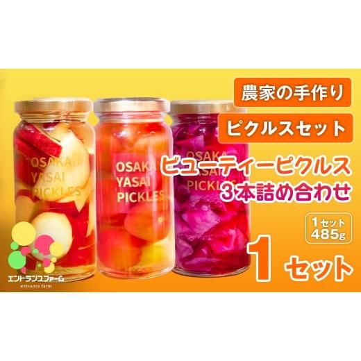 ふるさと納税 加工品等 漬物 大阪府 箕面市 農家の手作り ピクルスセット ビューティーピクルス詰め合わせ(1セット・計3本) m104-07-A エントランスファーム …