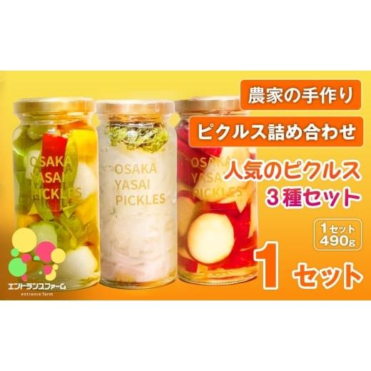 ふるさと納税 加工品等 漬物 大阪府 箕面市 農家の手作り ピクルス詰め合わせ 人気のピクルス3種セット(1セット・計3本) m104-08-A エントランスファーム 3本…