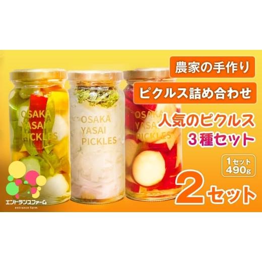 ふるさと納税 加工品等 漬物 大阪府 箕面市 農家の手作り ピクルス詰め合わせ 人気のピクルス3種セット(2セット・計6本) m104-08-B エントランスファーム 3本…
