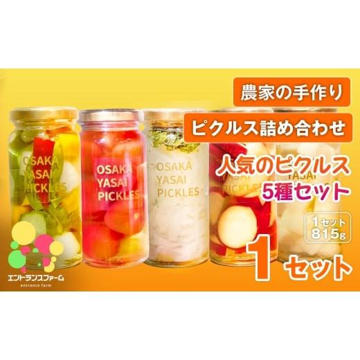 ふるさと納税 加工品等 漬物 大阪府 箕面市 農家の手作り ピクルス詰め合わせ 人気のピクルス5種セット(1セット・計5本) m104-09-A エントランスファーム 5本…