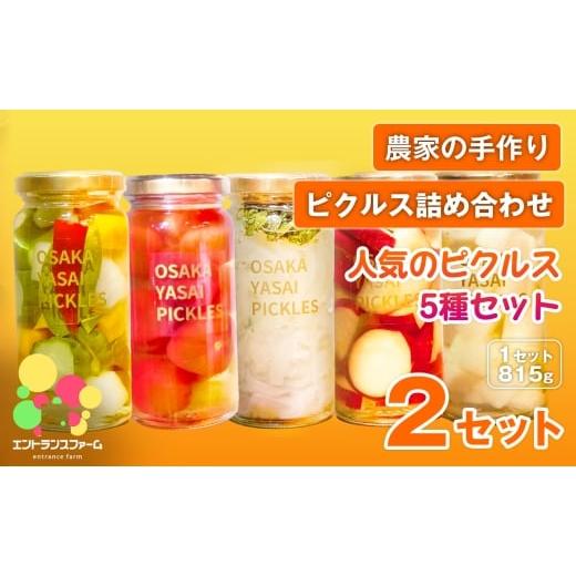 ふるさと納税 加工品等 漬物 大阪府 箕面市 農家の手作り ピクルス詰め合わせ 人気のピクルス5種セット(2セット・計10本) m104-09-B エントランスファーム 5…