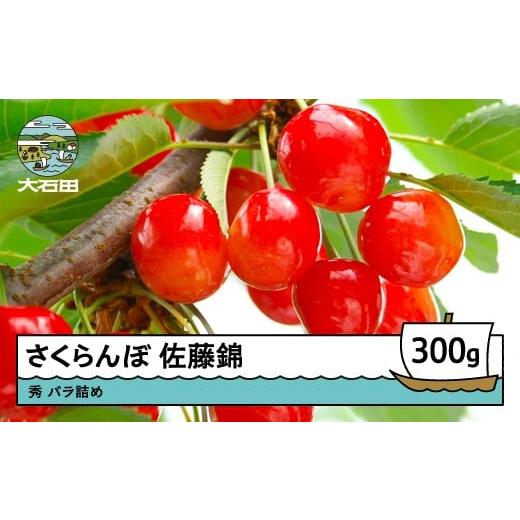 ふるさと納税 果物類 さくらんぼ 山形県 大石田町 先行予約 さくらんぼ 佐藤錦 秀 300g 2026年産 令和8年産 山形県産 果物 くだもの フルーツ 期間限定 冷蔵…