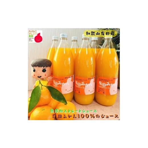 ふるさと納税 果汁飲料 みかん 和歌山県 新宮市 数量限定 大人気 有田みかん100%のジュース1,000ml×2本セット 着日指定不可