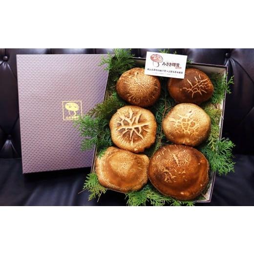 ふるさと納税 野菜類 きのこ 岡山県 美咲町 美咲町産 しいたけ カッシーファームのみさき輝茸(みさきてるたけ) 6〜10個 合計約1kg 2026年2月下旬-3月下旬発送…