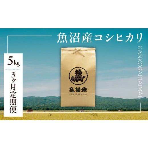 ふるさと納税 米 コシヒカリ 新潟県 津南町 3ヶ月定期便 令和7年産 魚沼産コシヒカリ「亀福 慣行栽培米」5kg | お米 おこめ 白米 精米 おすすめ 人気 新潟県 …