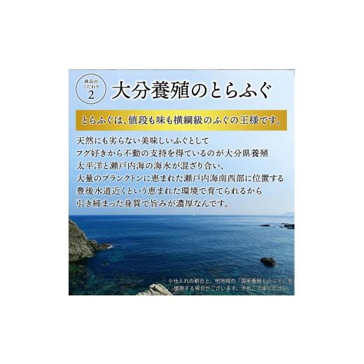 ふるさと納税 フグ 山口県 宇部市 ふぐ 冷蔵 とらふぐ刺身 1人前 6皿 ふぐ フグ 河豚 とらふぐ トラフグ とら河豚 トラ河豚 とらフグ トラふぐ ふぐ刺し ふぐ…_4