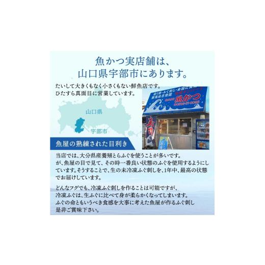ふるさと納税 フグ 山口県 宇部市 ふぐ 冷蔵 とらふぐ刺身 1人前 6皿 ふぐ フグ 河豚 とらふぐ トラフグ とら河豚 トラ河豚 とらフグ トラふぐ ふぐ刺し ふぐ…_7