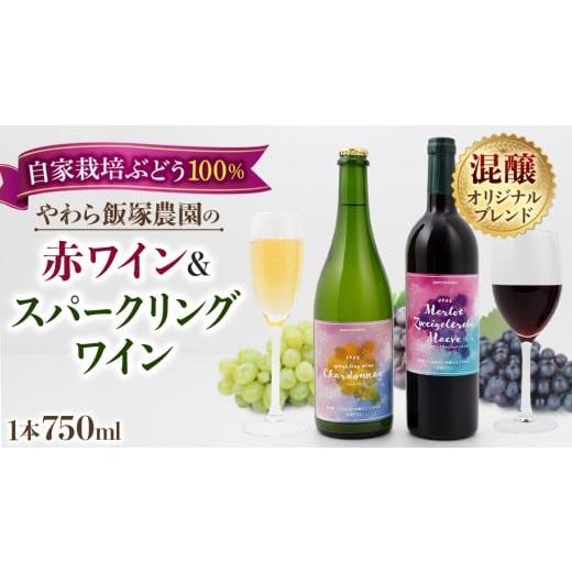 ふるさと納税 ワイン 赤ワイン 茨城県 つくばみらい市 地元農家が作る つくばみらい市産 ぶどう を使った 赤ワイン・スパークリングワイン各1本 計2本セット …