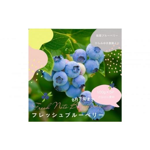 ふるさと納税 果物類 石川県 能登町 復興支援 先行予約 生・能登ブルーベリー100gパック×5つ