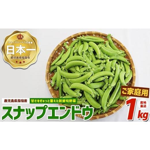 ふるさと納税 野菜類 鹿児島県 指宿市 2026年2月上旬頃〜発送 産地直送 新鮮旬野菜 ご家庭用スナップエンドウ約1kg (指宿促成青果/IB092-001) 野菜 旬 スナッ…
