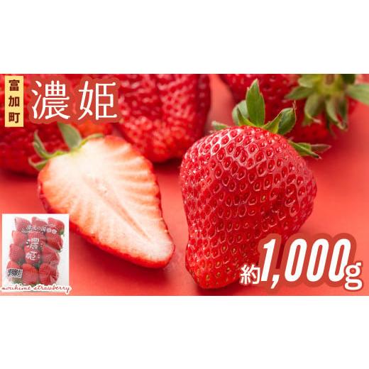 ふるさと納税 いちご 岐阜県 富加町 15048 令和8年1月28日発送 北海道・沖縄・離島配送不可 岐阜県富加町産 いちご 濃姫 セット 先行受付 250g×4 1,000g チ…