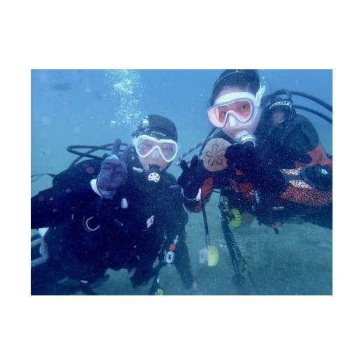 ふるさと納税 イベントやチケット等 神奈川県 真鶴町 だいびんぐしょっぷ海家「半日体験ダイビング」 1701529