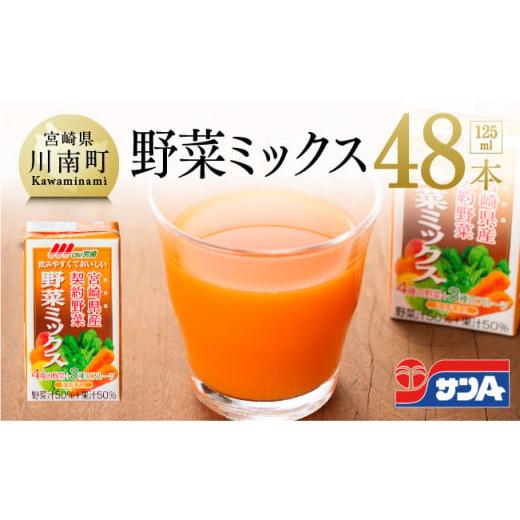 ふるさと納税 果汁飲料 やさい 宮崎県 川南町 サンAOh 宮崎野菜ミックス紙パック125ml×48本セット 48本(24本×2ケース)