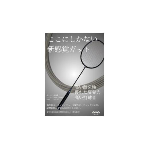 ふるさと納税 スポーツ・アウトドア 福島県 川俣町 カーボンナノチューブガットモデル・バドミントンセット(ガット張り上げ・ケース付)18lbs×小手姫 1697144