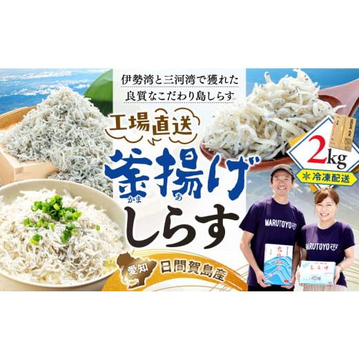 ふるさと納税 魚貝類 しらす 愛知県 南知多町 6月発送 しらす 2kg 釜揚げしらす 島の工場から直送 愛知県 日間賀島産 減塩 冷凍 丸豊 6月発送 2kg:15,000円