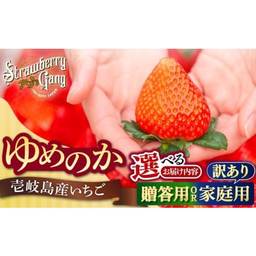ふるさと納税 いちご 長崎県 壱岐市 贈答用 ゆめのか 約250g×4パック[壱岐市] Strawberry Gang JEM001 セット いちご イチゴ 苺 定期便 果物 フルーツ ス…